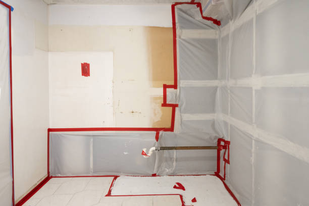 Best Industrial Mold Remediation  in Ironde, AL