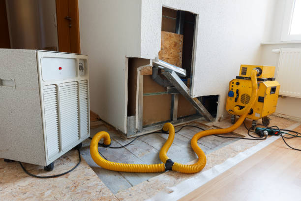 Best Water Damage & Mold Remediation  in Ironde, AL