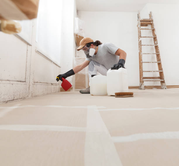 Best Mold Damage Restoration  in Ironde, AL